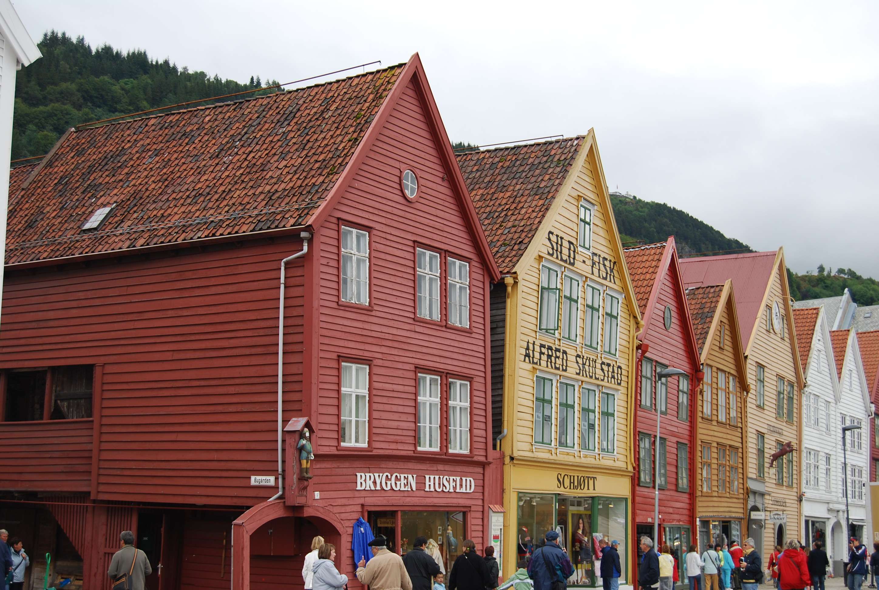 Bergen. Excursión de cruceros por libre, Cruise-Norway (7)